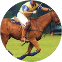 Inicio Foto de perfil de JAVIER ALONSO-VAQUERO VELASCO